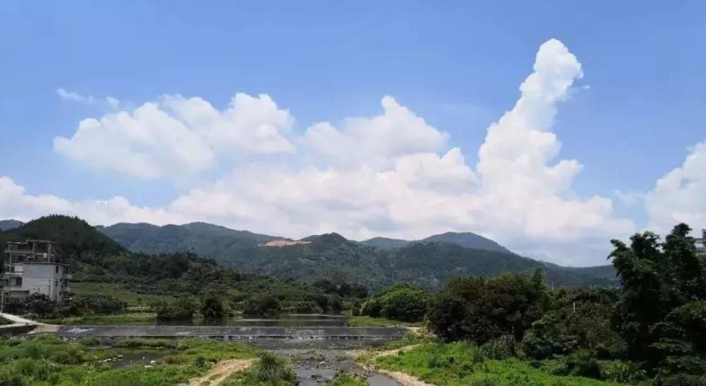 莲花县湖塘古村历史,萍湖村历史