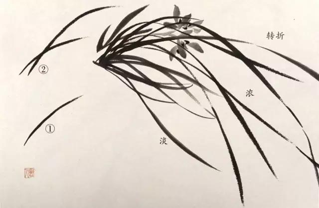 兰花绘画技法教程视频,泰国兰花绘画技法