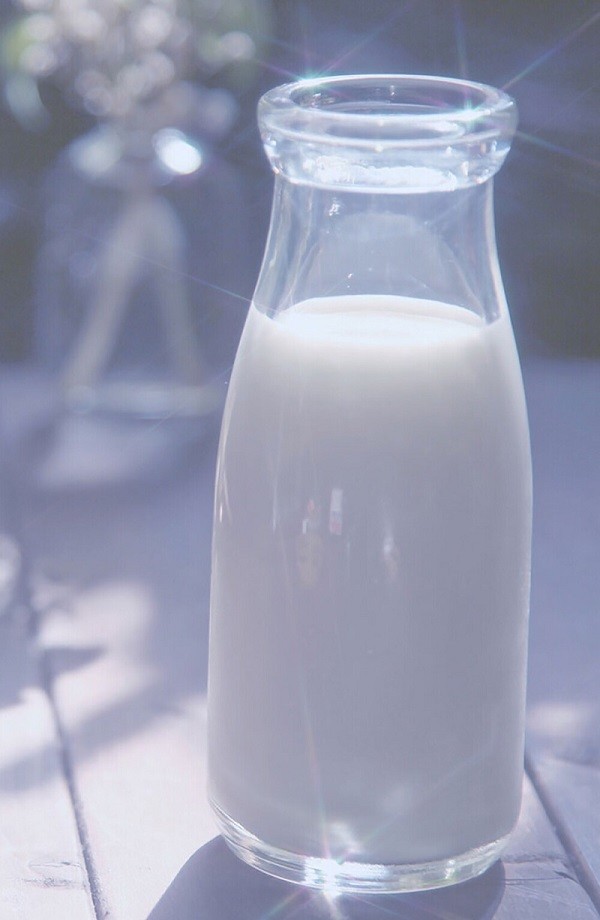 全脂牛奶和脱脂牛奶哪个适合健身,健身哪种脱脂牛奶最好