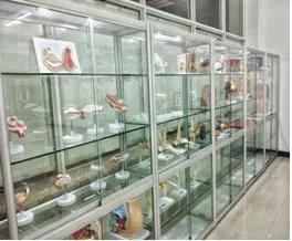 广州中医药大学康复治疗学专业,康复治疗学专业有哪些学校