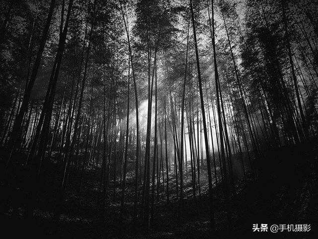 ippa摄影大赛年度总冠军,ippa摄影大赛2014