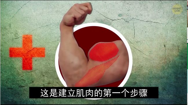 怎么练手臂的肱三头,怎么才能练出手臂的肱三头肌