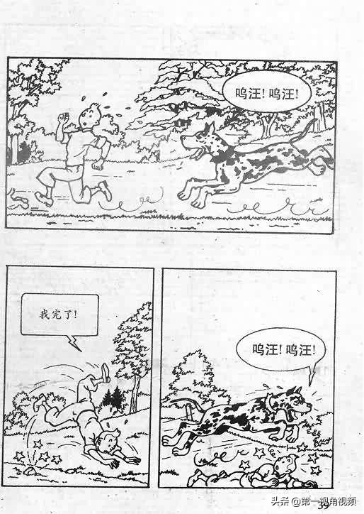 丁丁历险记刚果完整版,丁丁历险记西藏