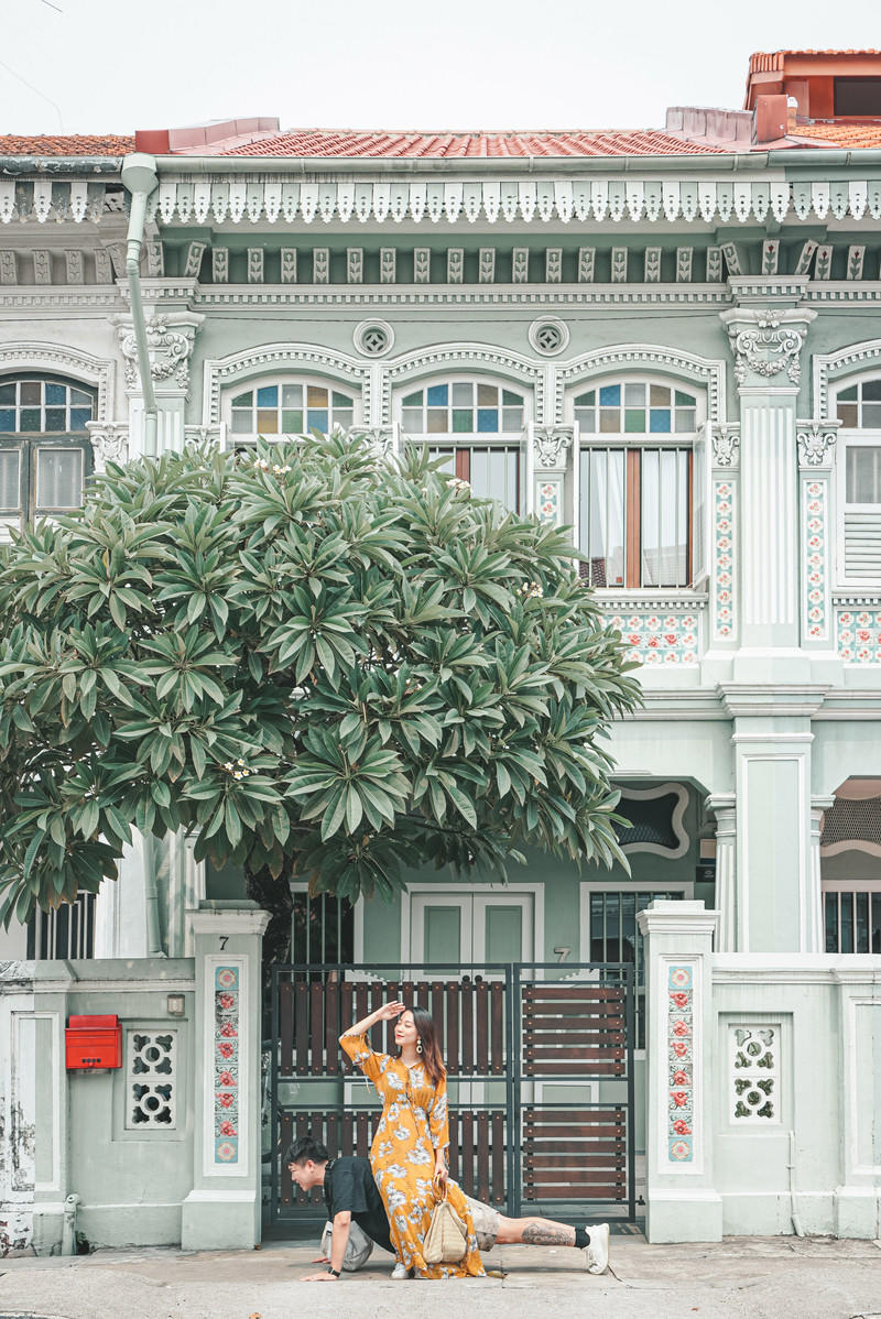 一人一猫环游,一人一猫旅行