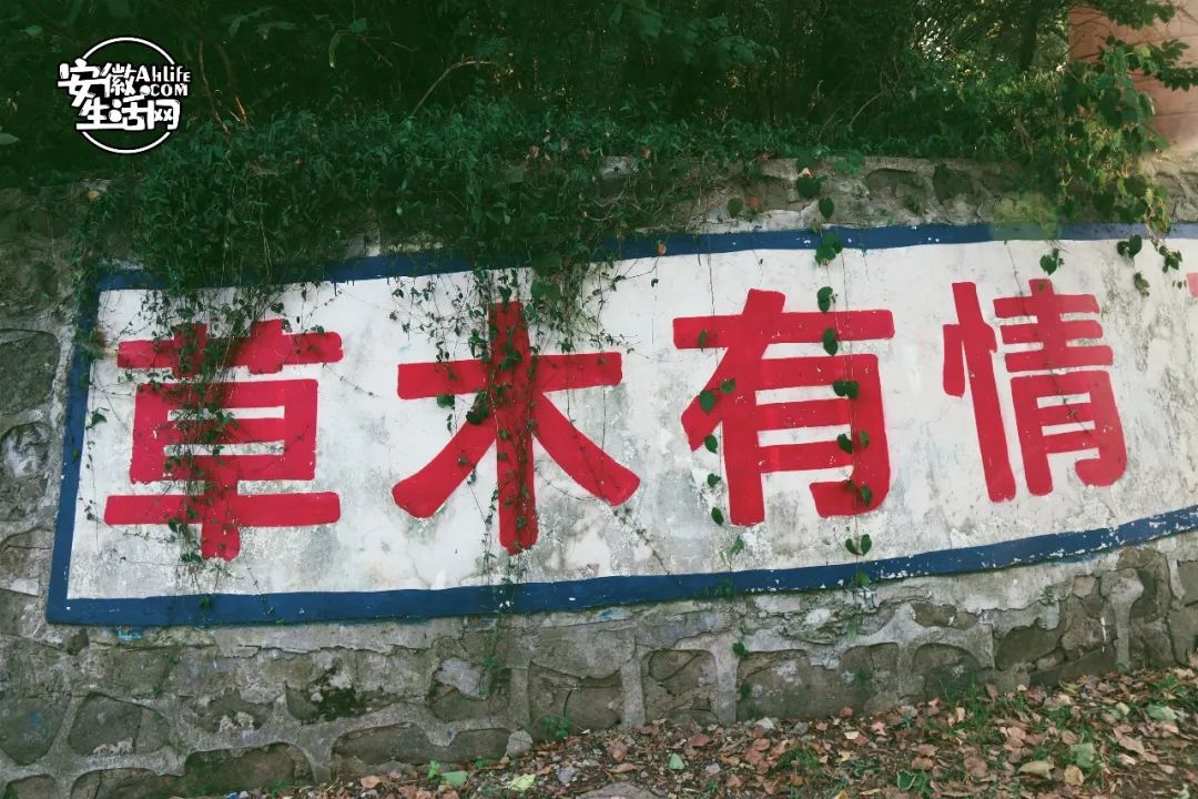 大蜀山,大蜀山爱情故事