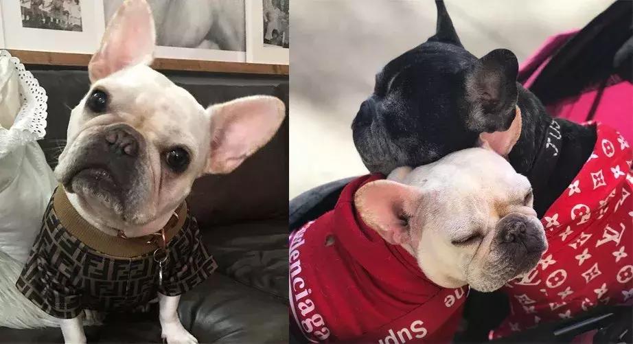 gucci和supreme联名马丁靴,guccisupreme鞋子