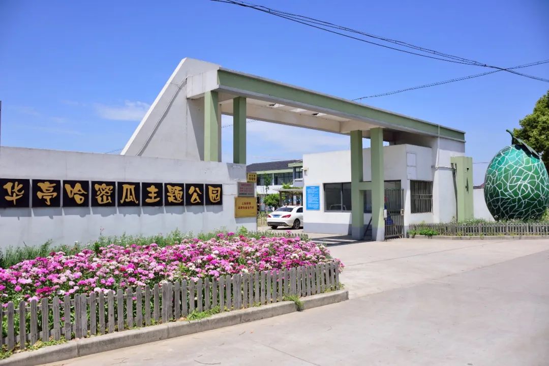 龙虾爱好者集合,虾场钓龙虾的方法和技巧