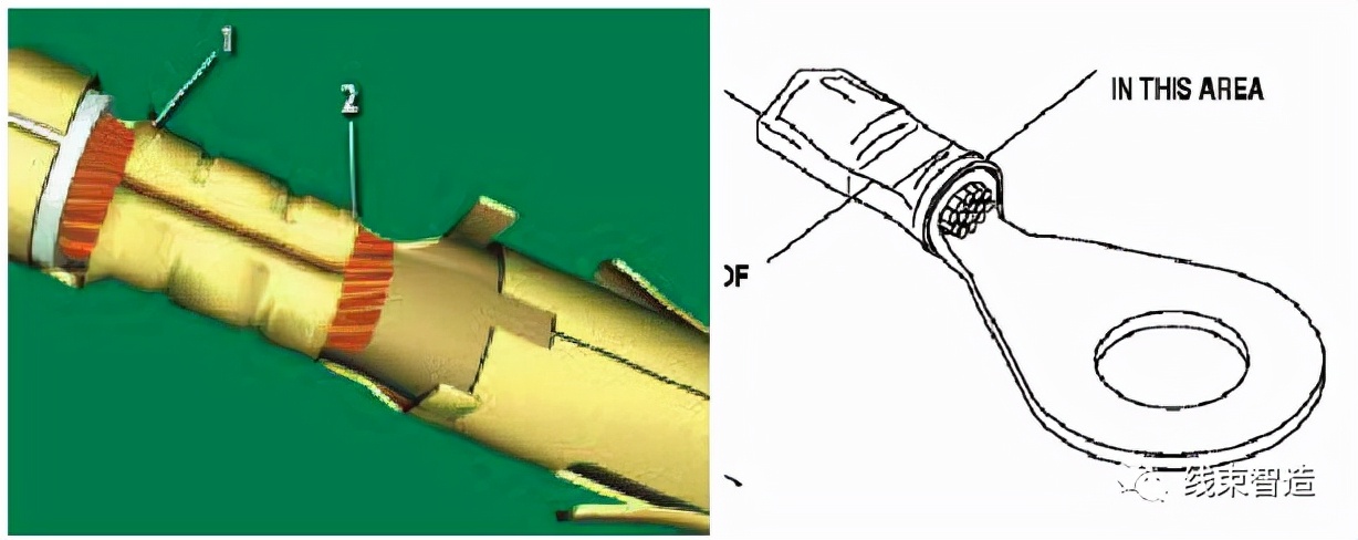剖面分析,端子压接剖面分析
