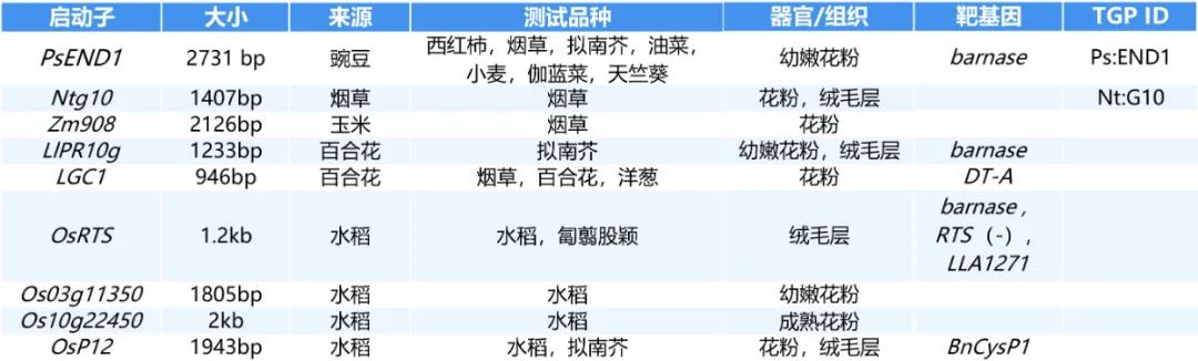 进来抄作业，启动子要这么选