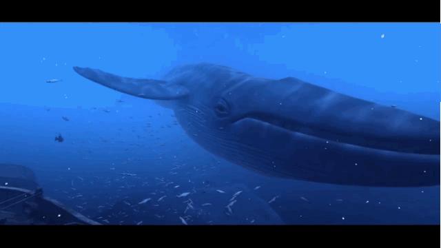 庄子对儒墨的批评,庄子对社会现实怎么样批判