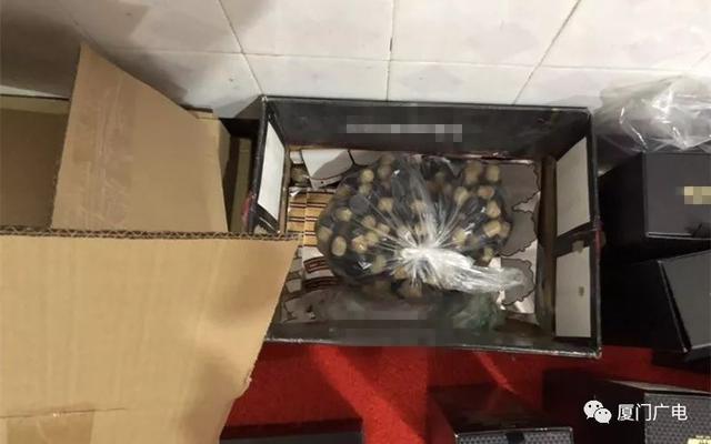 最新广东查获假冒洋酒案,厦门查获一批假茅台后续