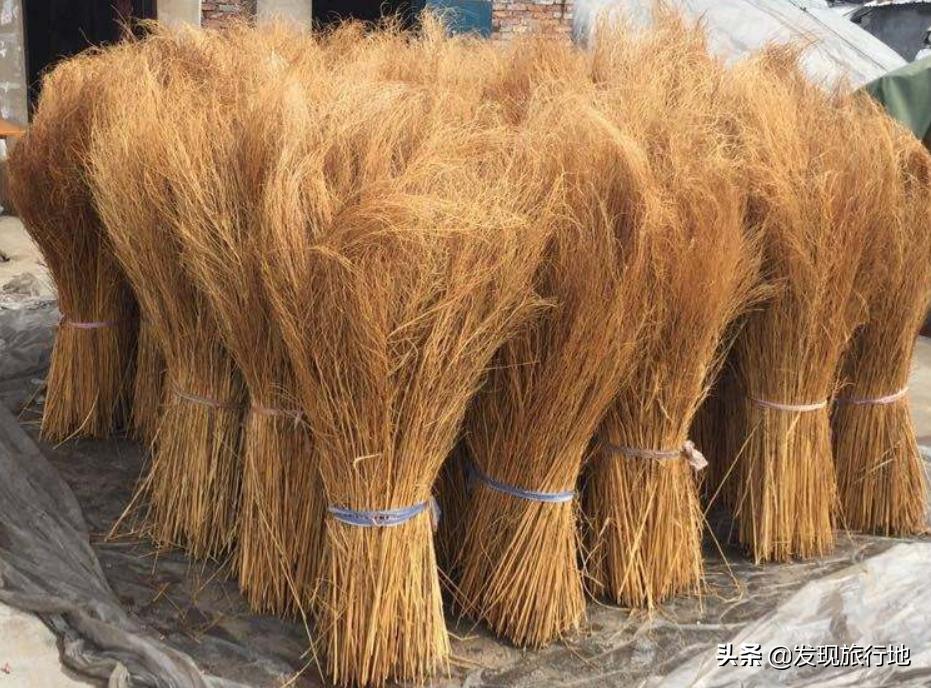 我们用来扫地的东西，在日本身价翻了千倍，还变成了旅游地标