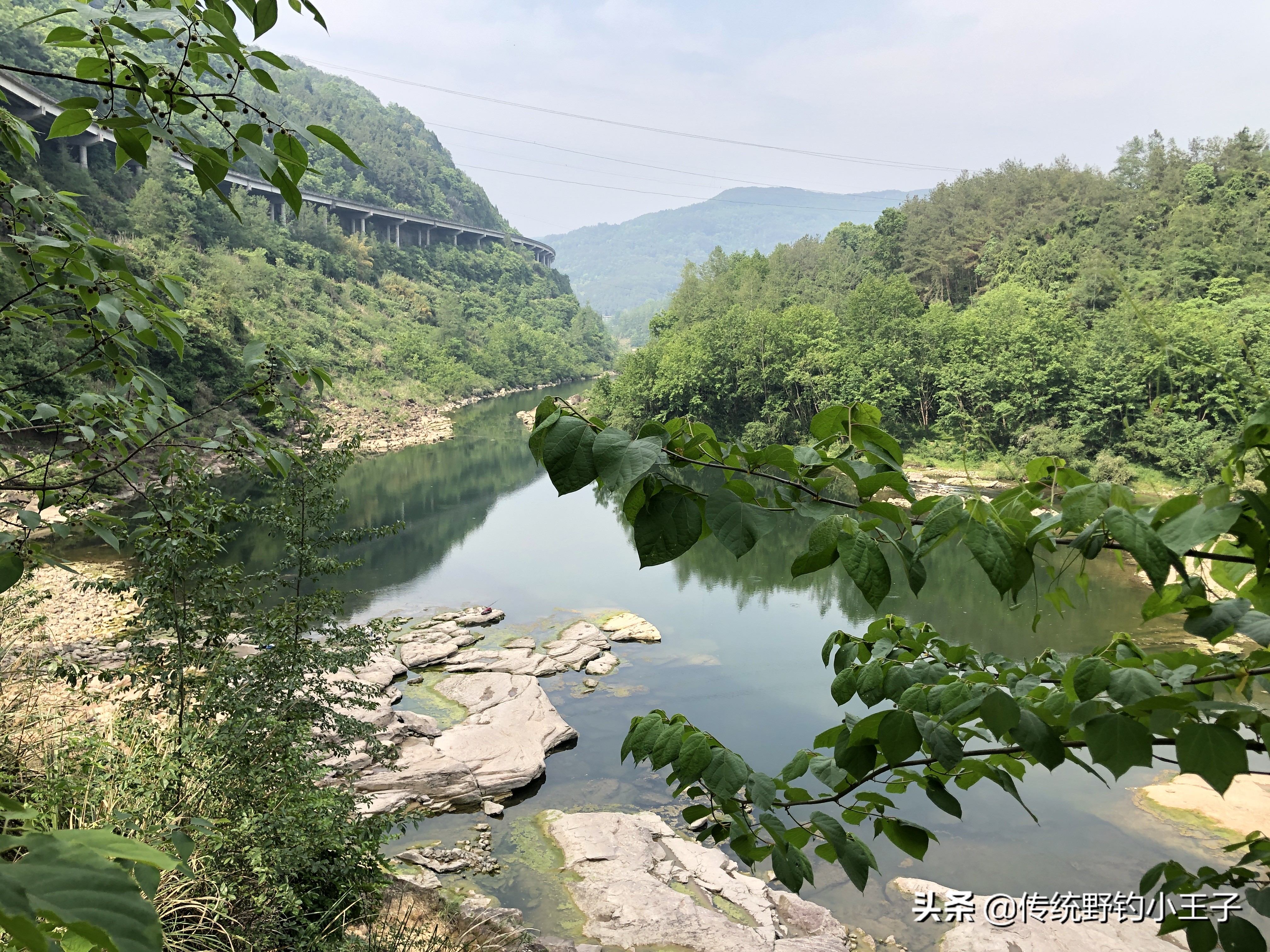 谷麦钓通线1.5和2.0对鱼口影响大吗,野钓谷麦用什么打窝比较好