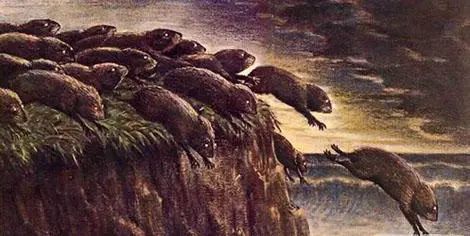 “旅鼠自杀”的故事是个谣言，却上了语文课本，骗了我们这么多年