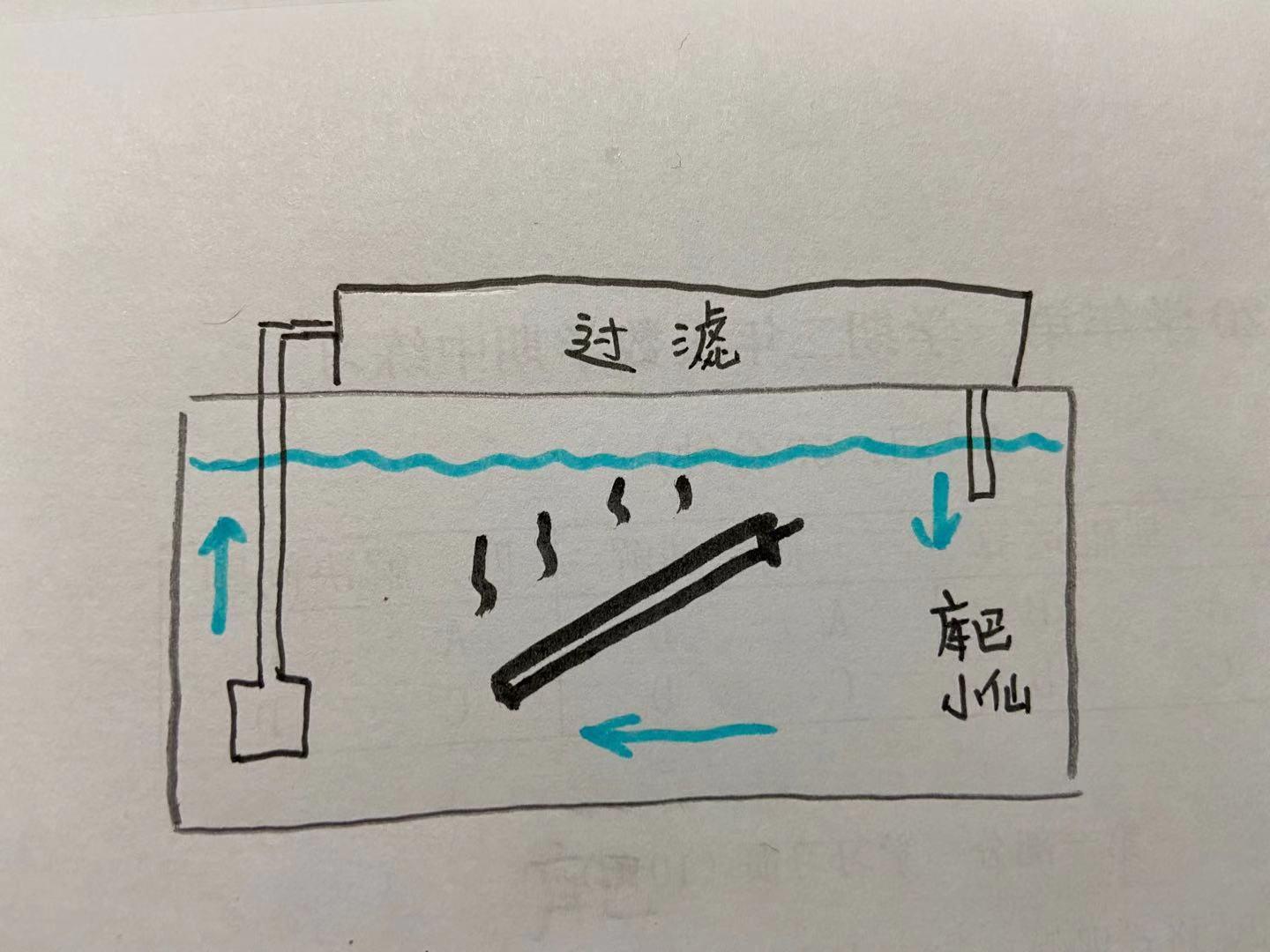 鱼缸加热棒正常使用多久,加热棒怎么给鱼缸加热不伤鱼