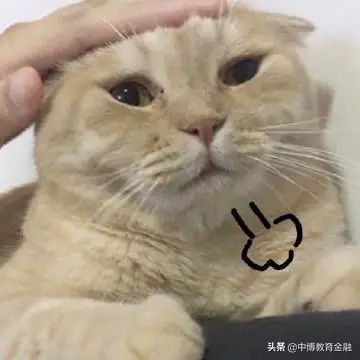 审计的薪酬,审计薪酬