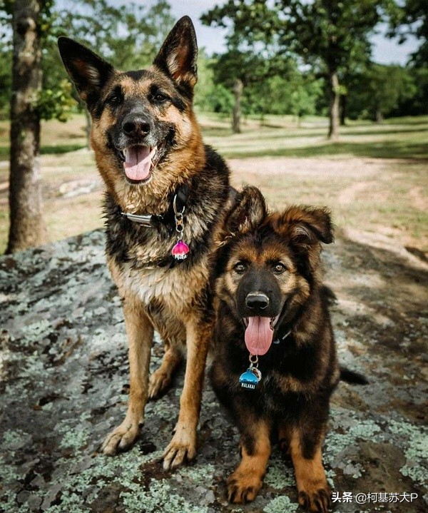 破冰行动赵嘉良是好人嘛,破冰行动赵嘉良身份