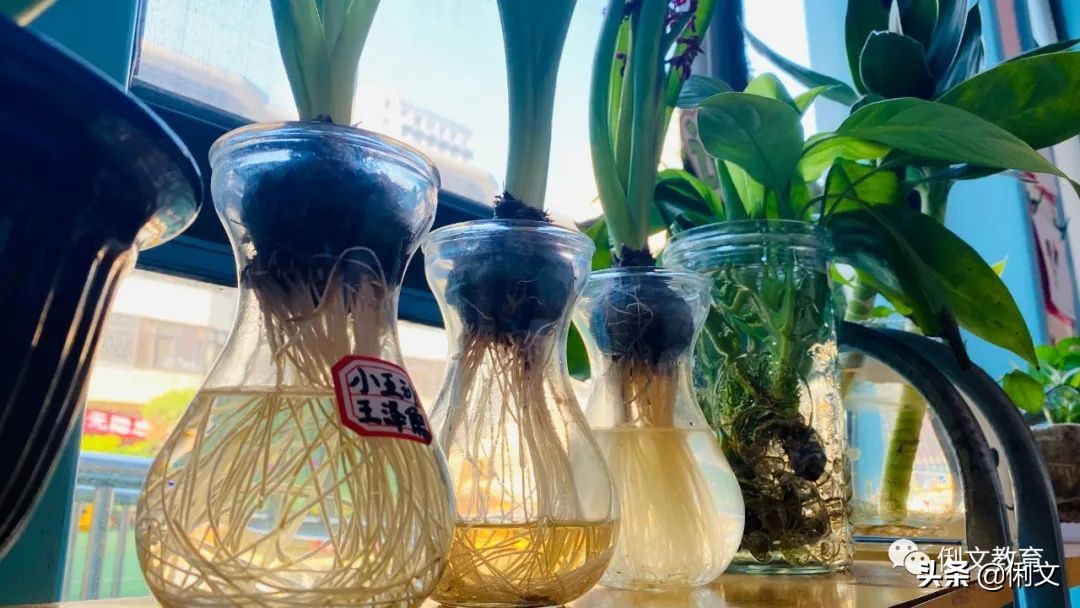 环境创设一年级,幼儿园梦想小学环境创设