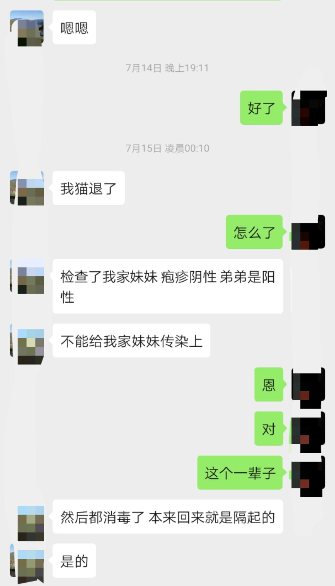 猫咪打喷嚏流鼻涕眼屎怎么治疗,猫咪打喷嚏流的鼻涕有硬芯