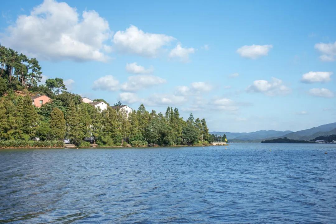 这该死的魅力原版搞笑,这该死的魅力完整版