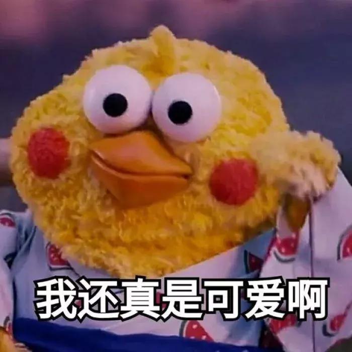 2019女性怎么买保险，最新总结！