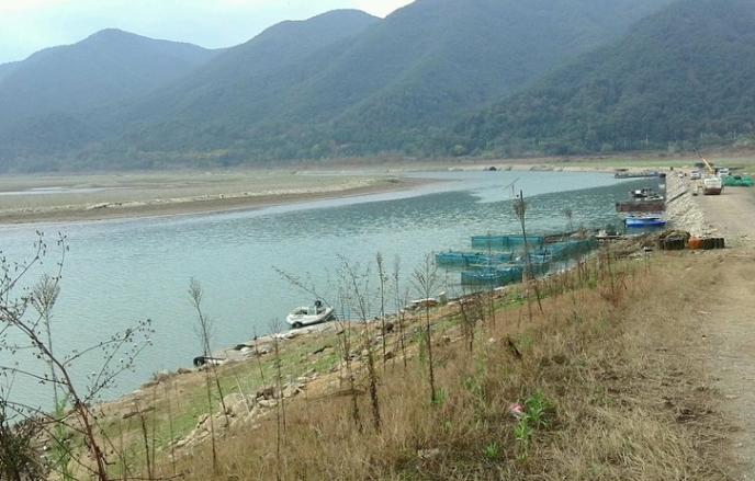 鱼塘养鱼的正确养殖方法有哪些,承包水库养鱼经济效益怎么样