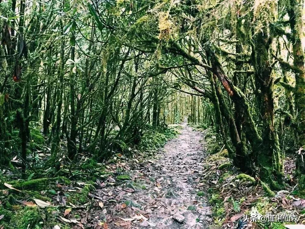 时光流逝岁月如梭一转眼过了30年,时光荏苒岁月如梭留下岁月的印记