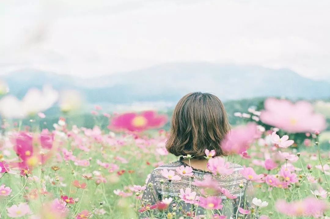 日本长野县旅行,日本长野赏樱旅游攻略