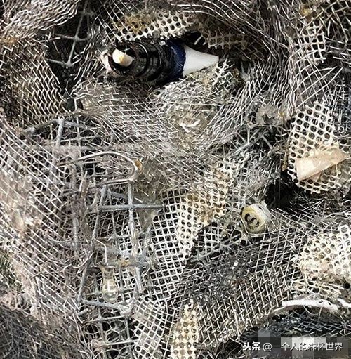 閫忚澶栨寕鐪熷疄浜嬩欢,閫忚澶栨寕鐪熺殑鍋囩殑