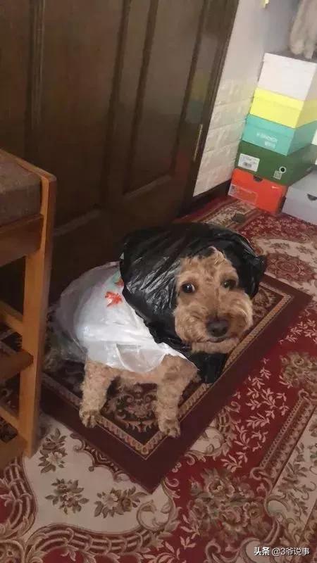 千万不要相信女孩子po出的身材自拍.过于真实哈哈哈