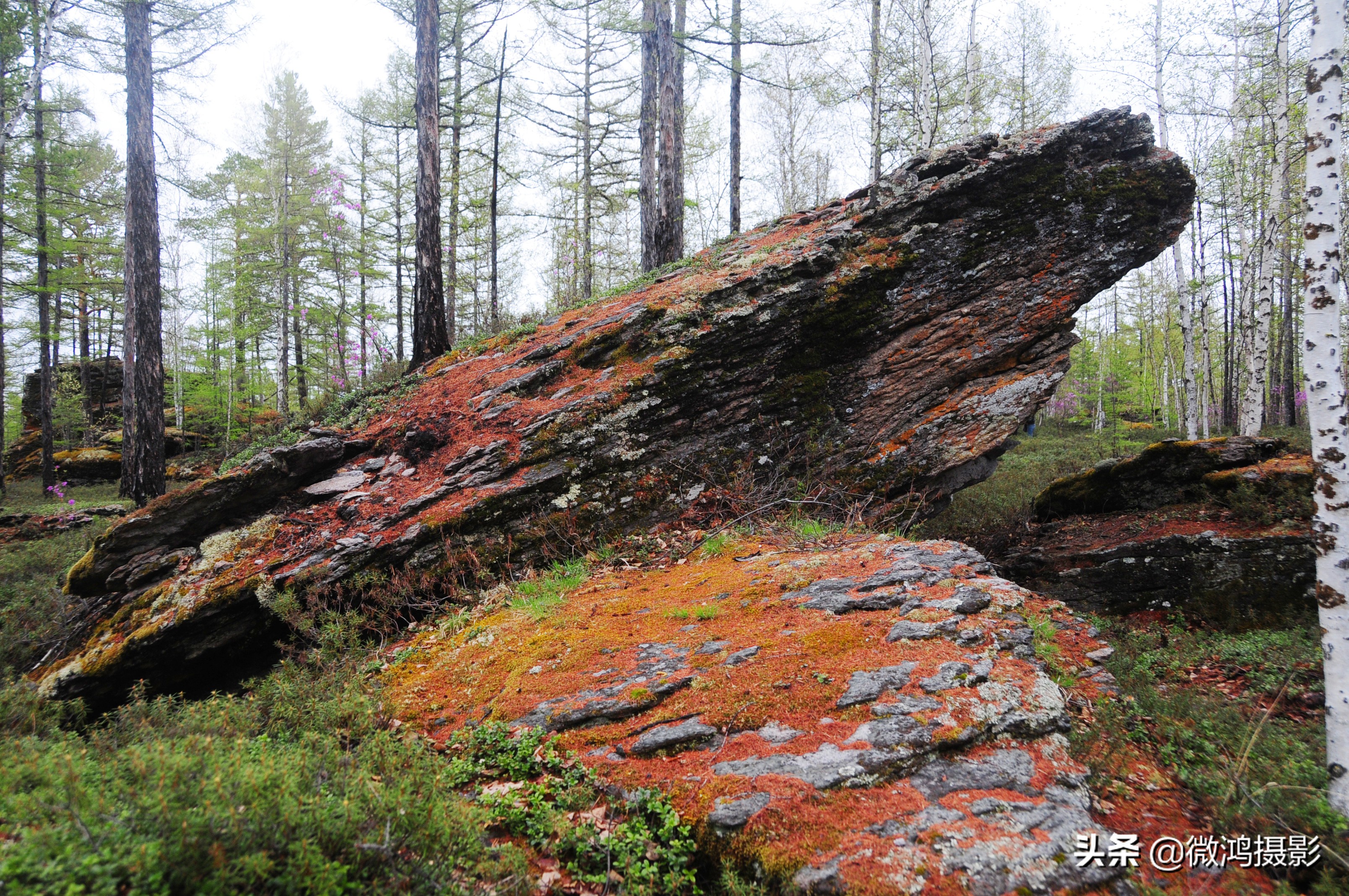 古岩石林图片大全,石林岩画