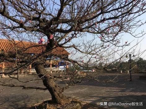 长江商学院同学聚会邀请函,长江商学院校友会活动主题