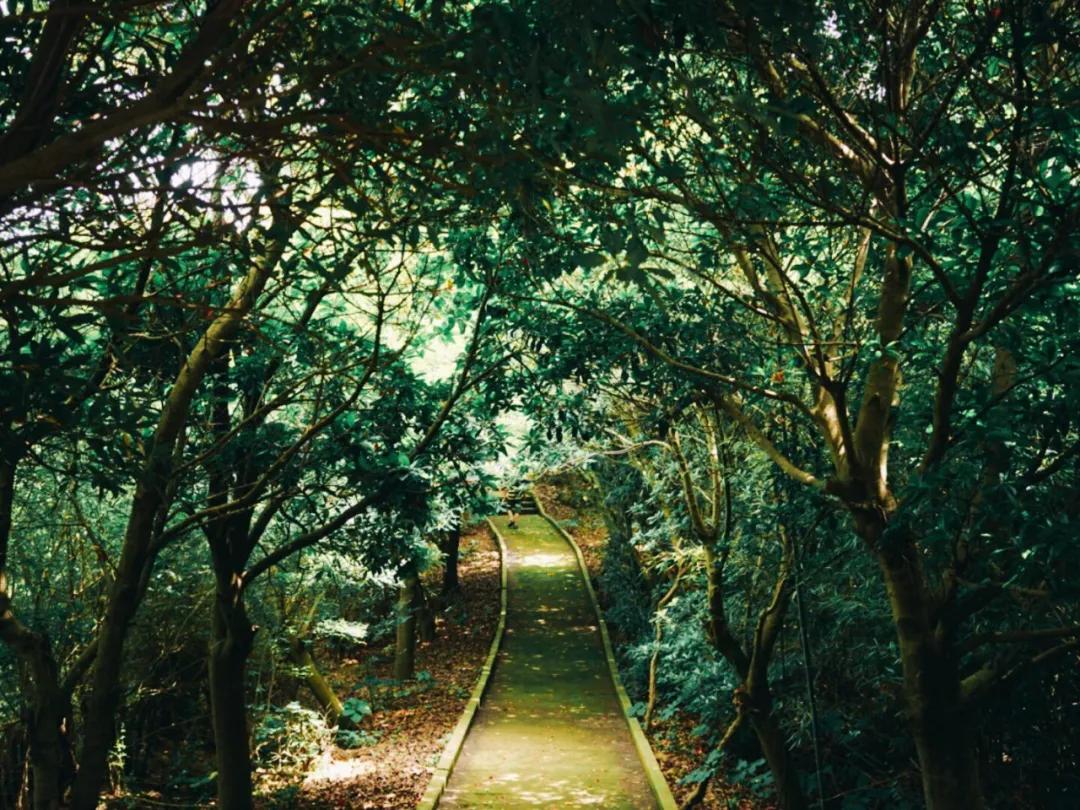 五一台州海岛,五一天气好的海岛推荐