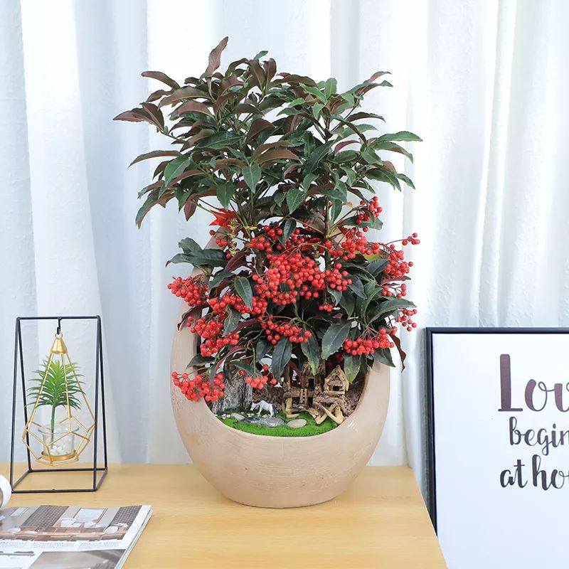 过年家里必摆的九道菜,过年家里摆的喜庆的物件