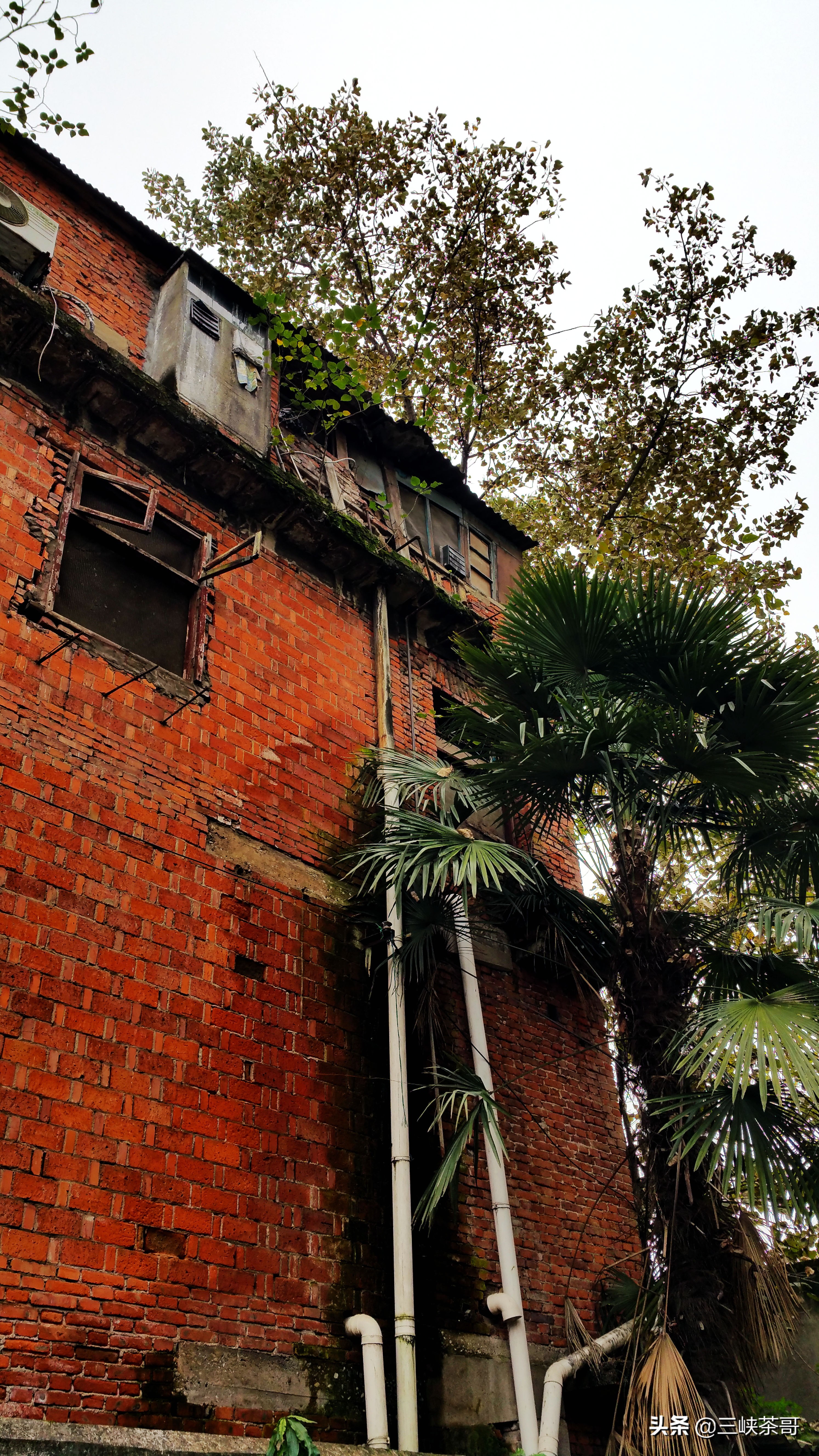 消失的街巷回忆,宜昌解放路步行街打造宽窄巷子