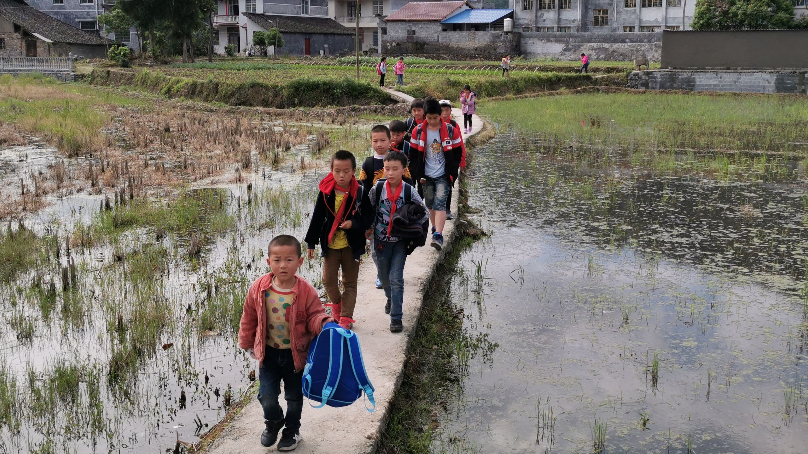 大山里的孩子上学没鞋穿,山里的孩子上学穿不起鞋