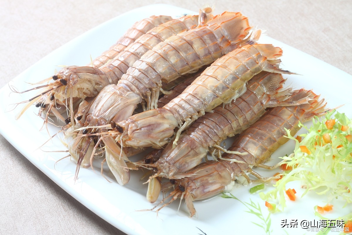 休渔期有什么海鲜,7月休渔期还能吃到什么海鲜