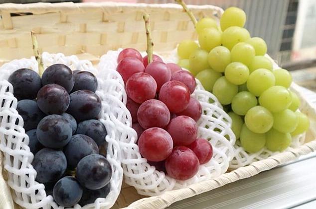 日本四季水果有哪些,日本新鲜应季水果