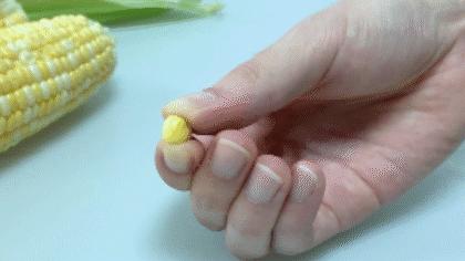 正宗爆浆水果玉米,甜脆水果玉米爆浆