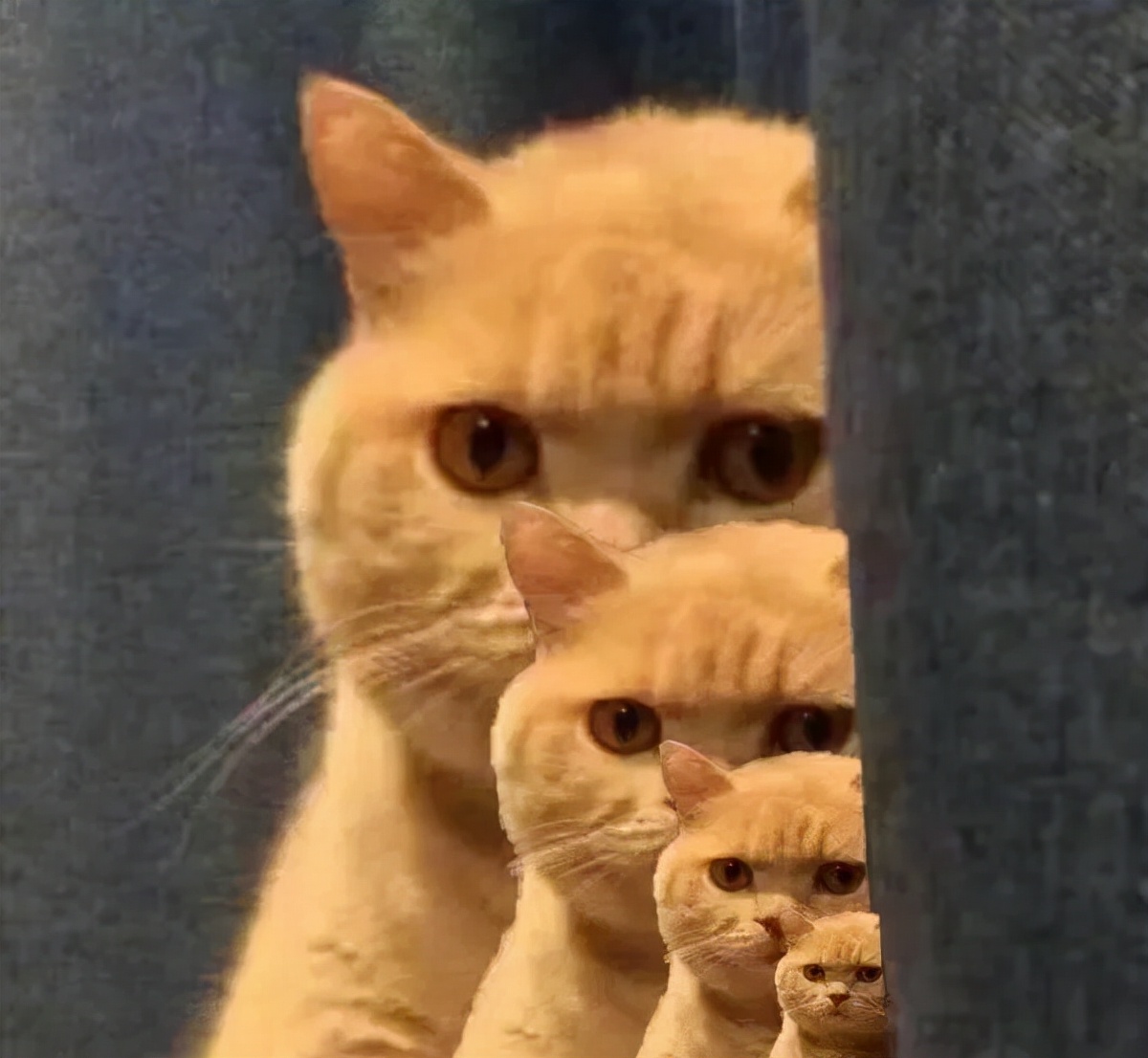 女子收到两个同款lv包,收到lv包包后遇到诈骗