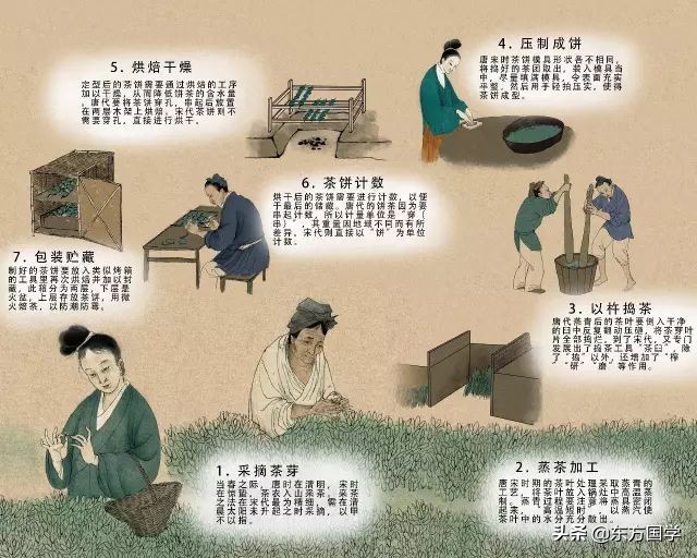 知否里面的抹茶,知否里面明兰学茶技