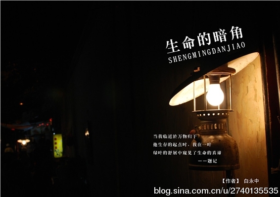 生命的诗意文学短评,生命的暗角