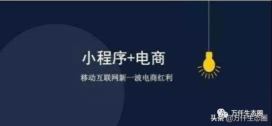 保温杯创业,保温杯里泡枸杞免费