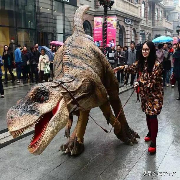 阿唛龙幻想乐园游玩项目,阿唛龙幻想乐园乌鲁木齐游玩路线