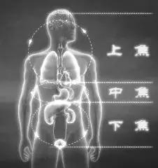 八段锦能调理好正气吗,道家养生太极拳八段锦视频