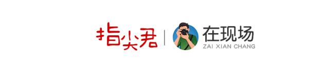 马鞍山流浪狗救助中心在哪里,曝光流浪狗救助真相