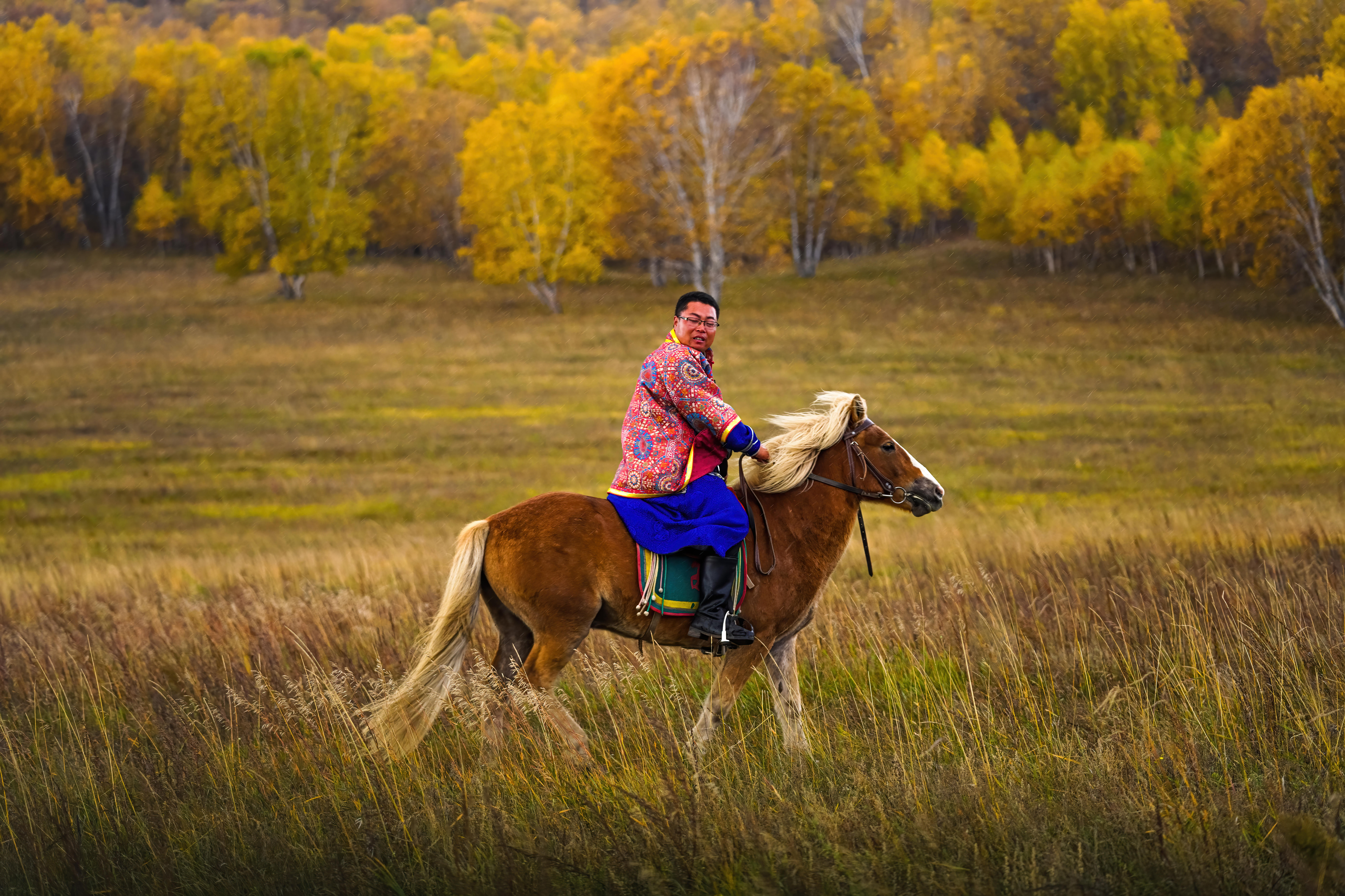 马背之旅旅游攻略,马背之旅旅游视频
