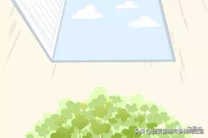 屋里进壁虎是怎么回事,屋里进来壁虎有啥寓意吗