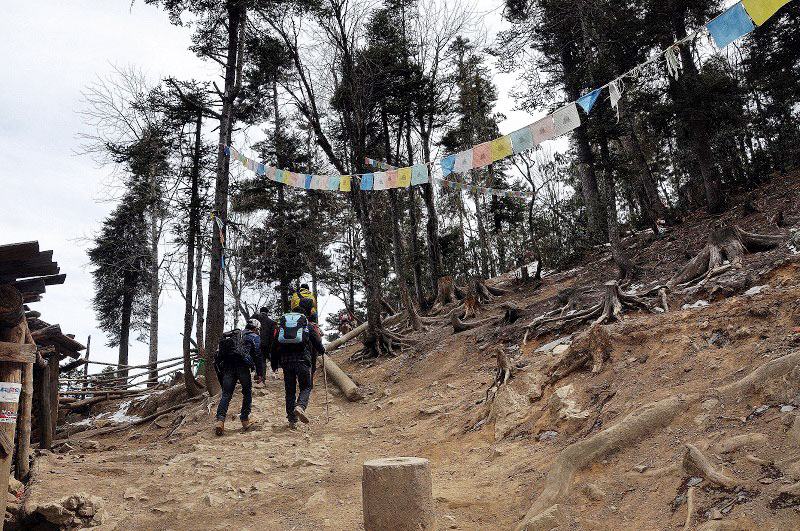 雪山脚下的雨崩村徒步,雨崩村徒步之旅