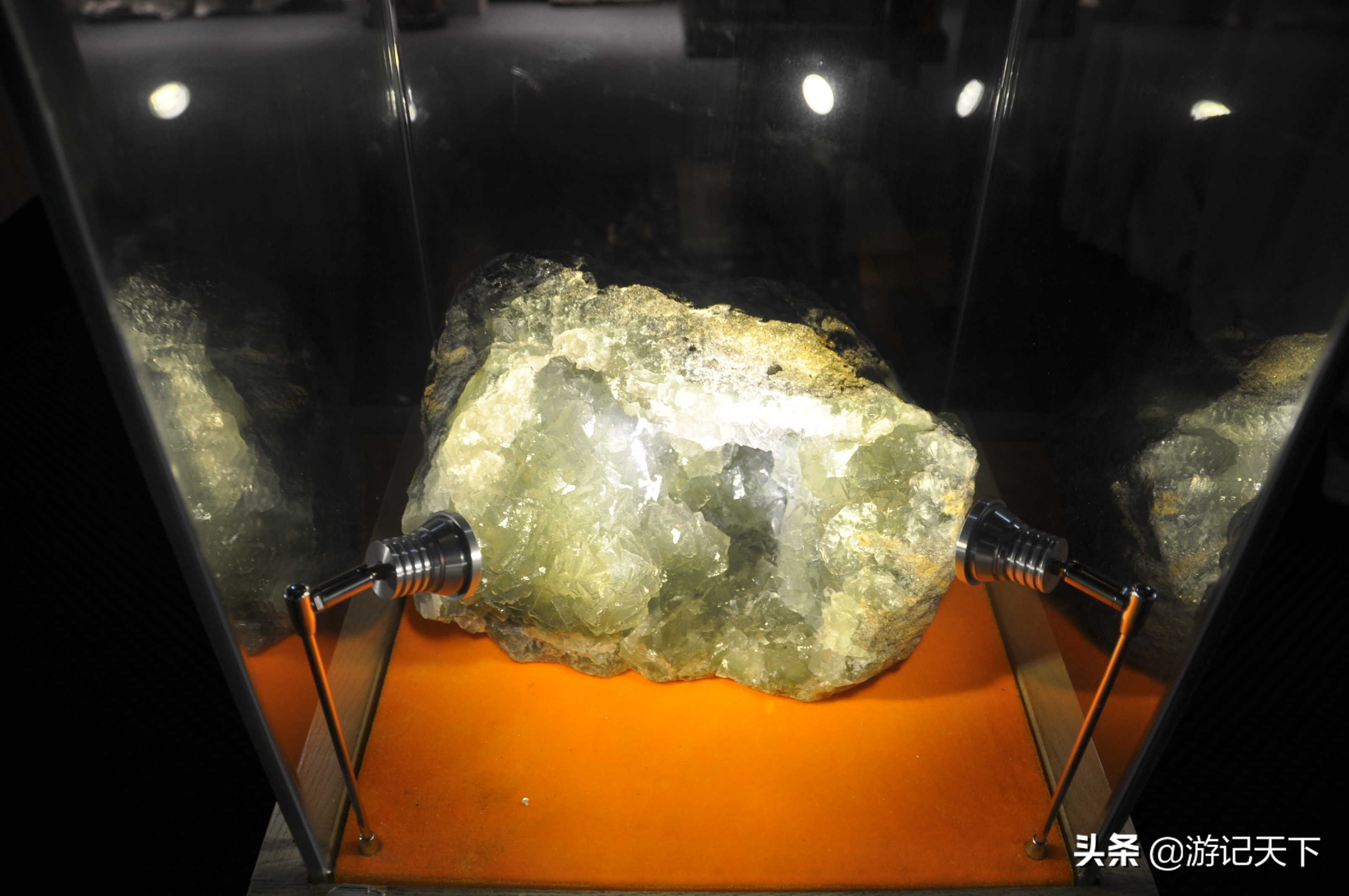 阿尼亚参观博物馆,上海地质科普馆游玩